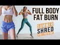 Intense 25 min Full Body FAT BURNING Workout 🙋‍♀️| No Jumping Beginner Friendly