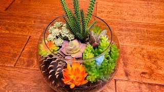 Easy DIY Succulents in the glass jar. 朋友送儿子一个小玻璃鱼缸，被我征用来插多肉盆栽了，仿真植物多肉拼盘来啦。