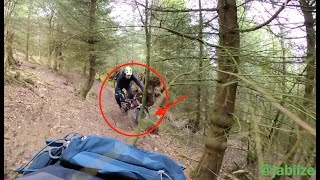 Bad Iburg 2.0 - MTB Crash // 360° GoPro Shots // Fun Trails (4K)