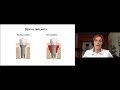 dental complications in eds dr. ines kapferer seebacher english en