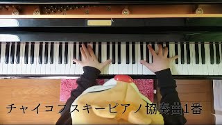 チャイコフスキー :ピアノ協奏曲　第1番 Op.23 ソロ/Tchaikovsky,  Pytr Il'ich:Concerto for piano and orchestra No. 1 Op.23