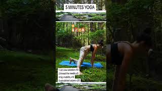 5 yoga exercises in the field. #yogacouple#tantrathe splits 🖤  #legstretches #stretchexercises#yoga