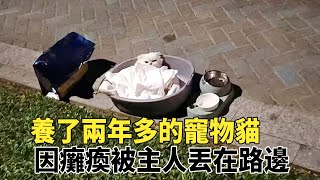 因癱瘓被主人棄養的寵物貓，躺在路邊默默等死，還好有人沒放棄它