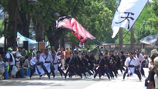 よさこい祭りIN光が丘(20180715_朝霞和樂)