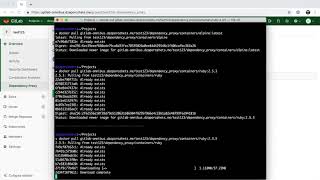 Dependency Proxy for containers. v11.11 (no sound)