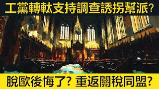 工黨轉軚支持調查誘拐幫派？保守黨後悔脫歐？自民黨倡重返關稅同盟。