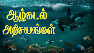 ஆழ்கடல் அதிசயங்கள் (அழகிய உலகம் EP 6) |  Wonders in underwater