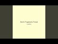 Storm Fragments Forest
