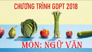 Chương trình giáo dục phổ thông 2018 - Môn Ngữ văn