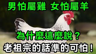 民間俗語：男怕屬雞，女怕屬羊！為什麼男人怕屬雞？老祖宗的屬相之說靠譜嗎【有書說】#中老年心語 #養老 #養生#幸福人生 #為人處世 #情感故事#讀書#佛#深夜讀|風水秘境