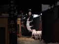 千万不要得罪女人2.0，不然下一秒就把你阉了 animals farming gongfu