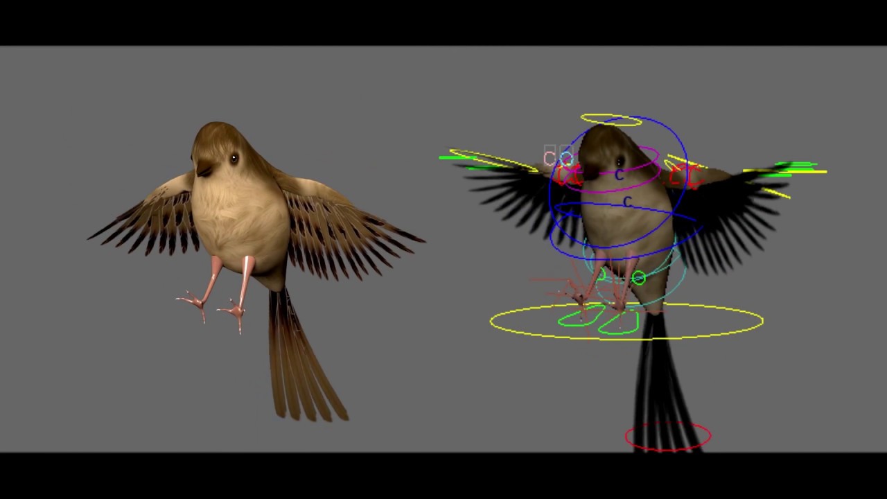 Bird Rigged In Maya Youtube