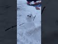 cute snowman snow snowman christmas winter viralvideo viralshorts cool fun cold cute