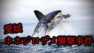 【実話】日本で？愛媛県ホホジロザメ襲撃事件【日本恐怖の人食いザメ】