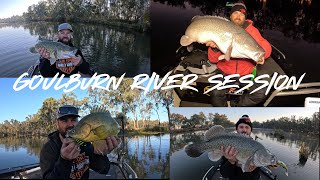 River fishing chasing Big Murray Cod on Livescope