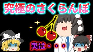 【意味怖】このさくらんぼのヤバさ、わかりますか？「究極のさくらんぼ」【ゆっくり】