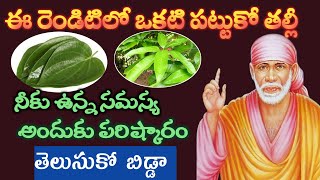 సాయివాక్కు-ఈ రెంటిలో ఒకటి పట్టుకో తల్లీ |నీ సమస్య అందుకు పరిష్కారం చెప్తావిను @Sai Palukulu