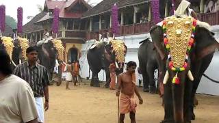 Thirumumbil Melam , Vrischikolsavam Tripunithura