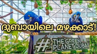 The Green Planet Dubai | ദി ഗ്രീൻ പ്ലാനറ്റ് | Dubai's Secret Forest | Indoor Rainforest