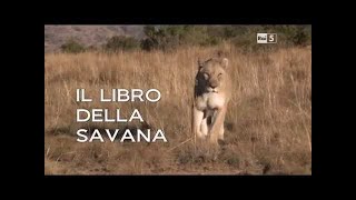 documentario-Animali Strategie-tecniche di sopravvivenza essere piccoli-