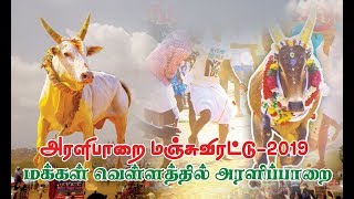 அரளிப்பாறை மஞ்சுவிரட்டு | ARALIPARAI MANJUVIRATTU 2019 |