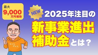 【2025年注目】新事業進出補助金とは？最大9,000万円補助