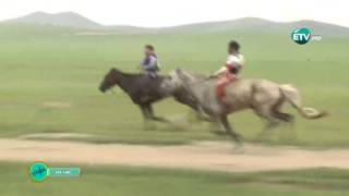 ETV naadam 2014 Ih nas