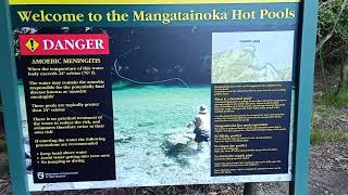 Hiking and hot pools in the Kaweka Forest Park.