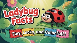 Why Do Ladybugs Have Spots? | Ladybug Facts for Kids