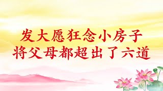 卢台长【节目录音】发大愿狂念小房子将父母都超出了六道