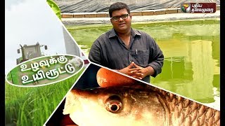 Uzhavukku Uyiroottu: நன்னீர்  மீன் வளர்ப்பும், இயற்கை முறை கோழி வளர்ப்பும் ! | 13/072019