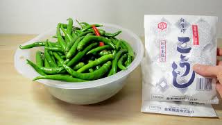 家庭菜園の唐辛子で三升漬けを作る 麹は網走のクラシゲ Make three storied pickles with chili peppers from the vegetable garden