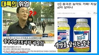 대륙의 위엄