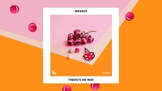 There's No Way [Dance Fruits Release]