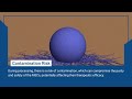 Problem associated with Umbilical Cord MSC Processing