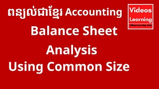 ការវិភាគតារាងតុល្យការតាមរយៈជួរឈរ /Balance Sheet Analysis Using Common Size