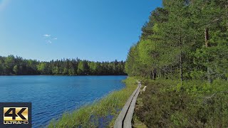 【4K】Walking/Hiking in Sipoonkorpi National Park, Helsinki/Vantaa