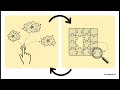Building the Self Evolving AI