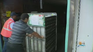 145,000 Mail-In Ballots Ready To Go Out To Voters In Broward