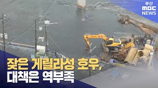 잦은 게릴라성 호우, 대책은 역부족 (2024-07-01,월/뉴스데스크/부산MBC)