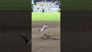 #ドジャース #山本由伸 #そっくりさん #投げ方 #阿南光 #選抜高校野球 #甲子園