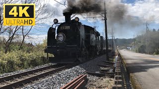 東武線『SL大樹』鬼怒川線を走る蒸気機関車　4K　 '22年4月