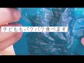 ご飯に合う長期保存が出来るタンパク質のおすすめ備蓄品ご紹介⚫︎地鶏のめっちゃ美味しい炭火焼き