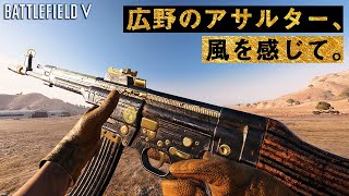 【BFV BF5】広野のアサルター、風を感じて。【実況】