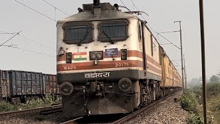 12906 SHALIMAR PORBANDAR  SF EXPRESS