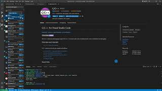 Setting up Visual Studio Code for remote development on a Raspberry Pi