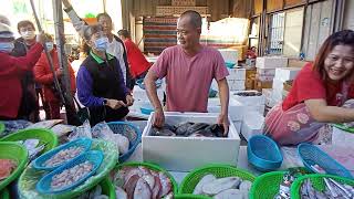 阿源吳郭魚開始大促銷，現場觀眾搶翻天 台中大雅市場  海鮮叫賣哥阿源  Taiwan seafood auction