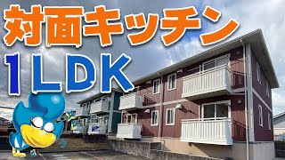 【ひとり暮らし】快適すぎる1LDK？！広くて明るい賃貸物件をゆっくり内見 in常滑市 第12軒【ブルーボックス部屋紹介】