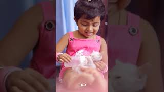 കിയ ബേബി | Kia Baby