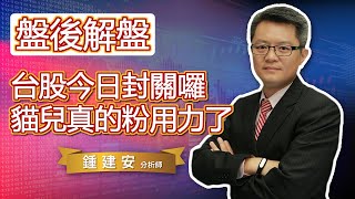 2022.01.26【台股今日封關囉 貓兒真的粉用力了】交易員養成俱樂部 鍾建安盤後解盤與網友提問QandA